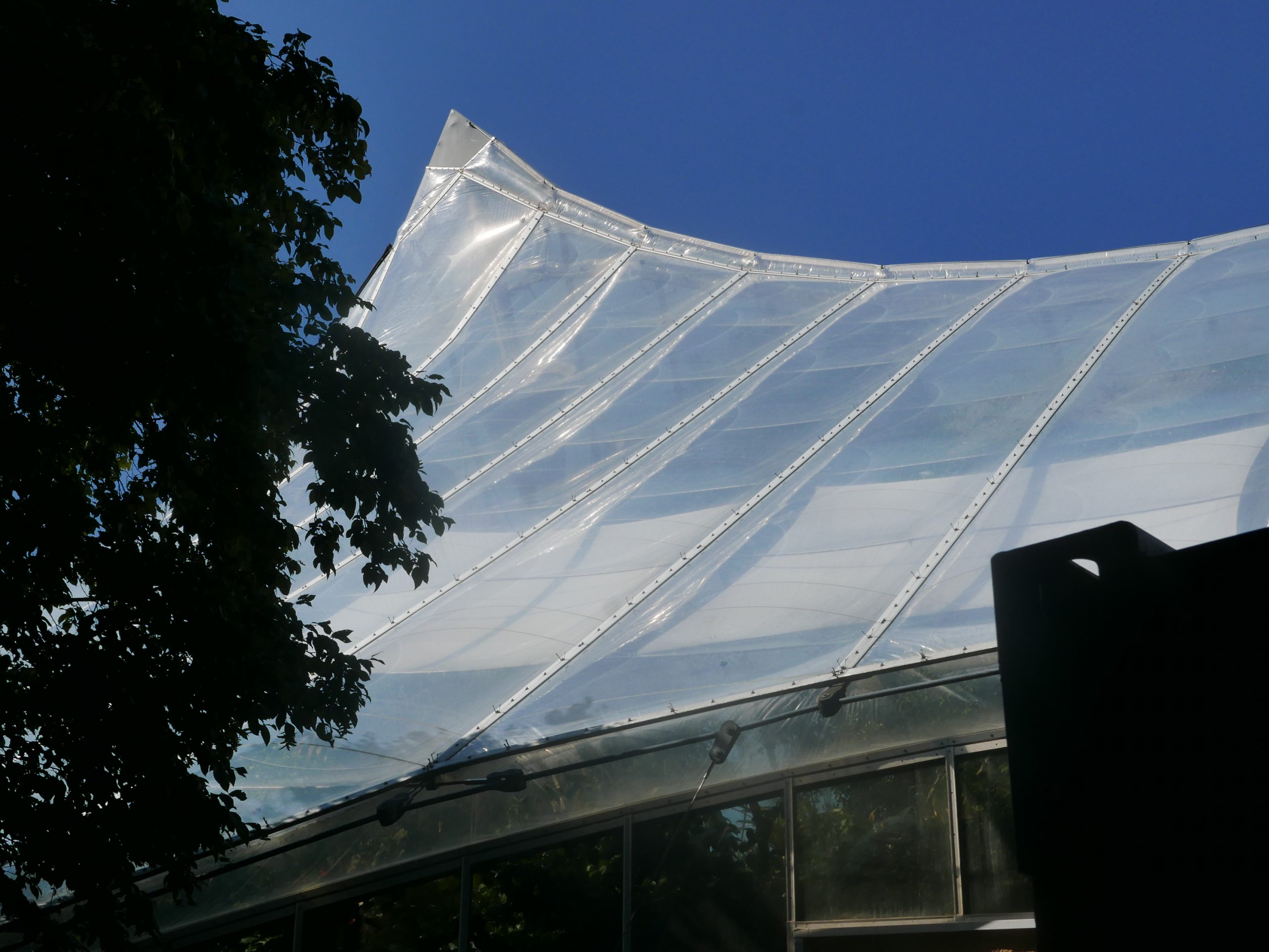 Ein modernes Gewächshaus mit charakteristischer weißer Metallstruktur und geneigtem Glasdach ragt gegen einen klaren blauen Himmel auf.