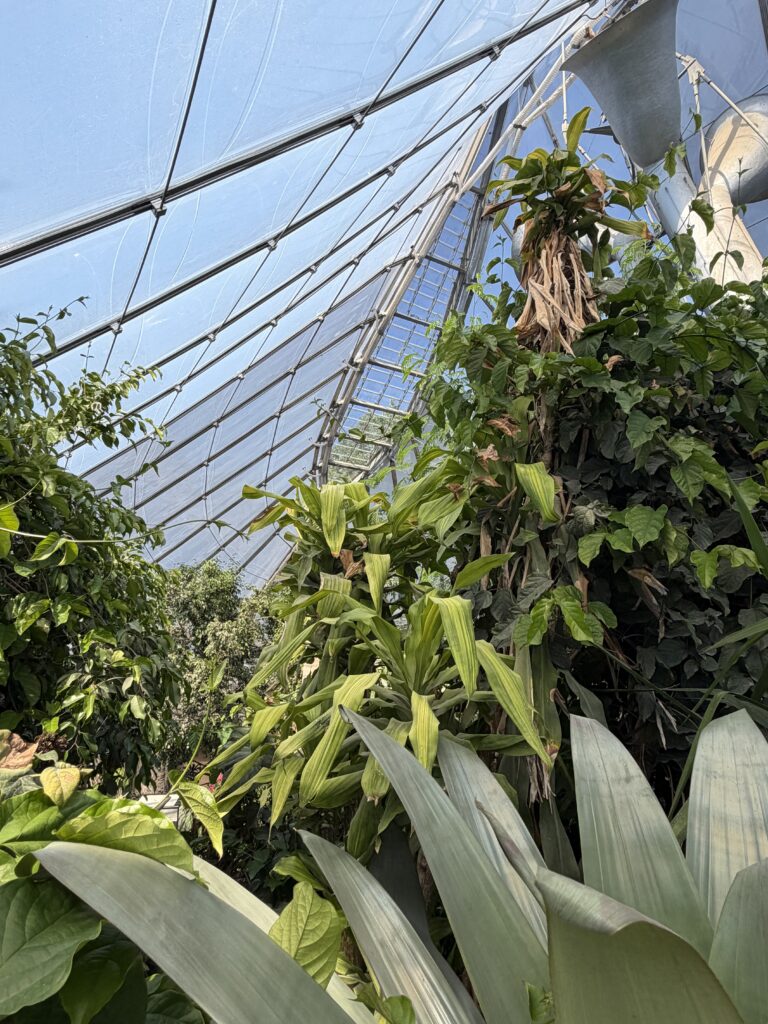 Eröffnung der Dschungelwelt im Tierpark Hellabrunn